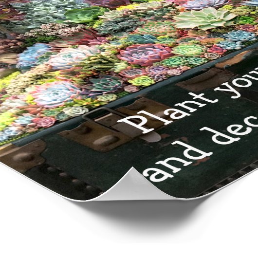 宝箱の多肉類 ポスター (角)