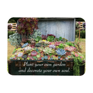 宝箱の多肉類 マグネット