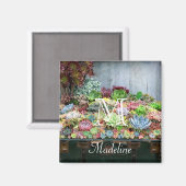 宝箱の多肉類 マグネット (正面/裏面)