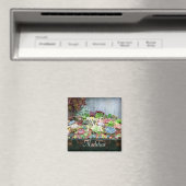 宝箱の多肉類 マグネット (インサイチュ (食洗機))