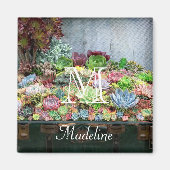 宝箱の多肉類 マグネット (正面)