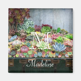 宝箱の多肉類 マグネット