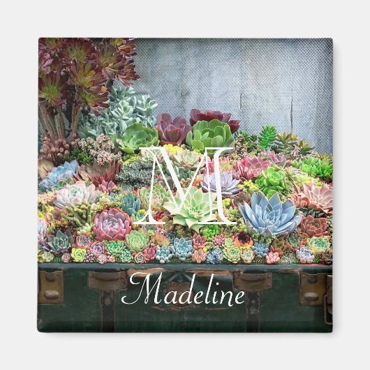 宝箱の多肉類 マグネット (正面)