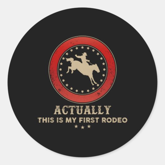 実はこれが私の最初のロデオ馬の乗馬 ラウンドシール (正面)