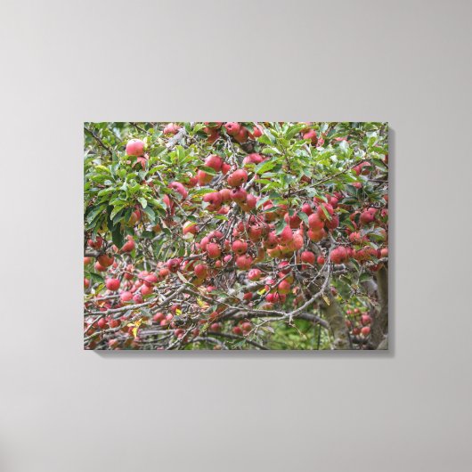 実りの秋の木 キャンバスプリント (正面)