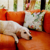 実り多き信仰を守れ クッション