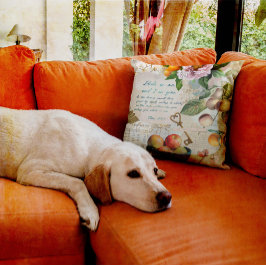 実り多き信仰を守れ クッション