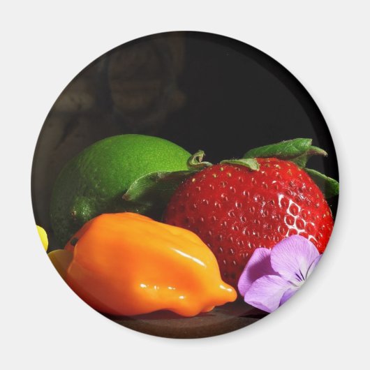 実を残す生活 マグネット (正面)