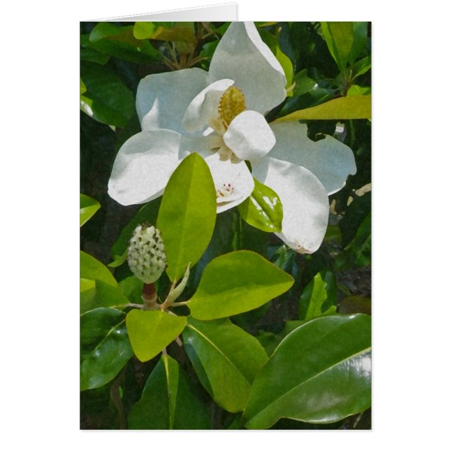 実を結ぶ花 (正面)