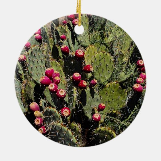 実を結んだウチワサボテンサボテン、Sonoranの砂漠 セラミックオーナメント (裏面)