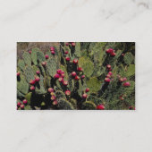 実を結んだウチワサボテンサボテン、Sonoranの砂漠 名刺 (裏面)