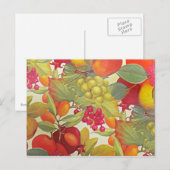 実カラフル果 ポストカード (正面/裏面)
