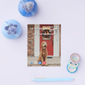 実在おもしろい不動産は次の犬の赤を嗅ぎ取る チラシ (シングル)