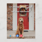 実在おもしろい不動産は次の犬の赤を嗅ぎ取る チラシ (正面)