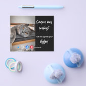 実在おもしろい生活猫のエステートはがき チラシ (シングル)