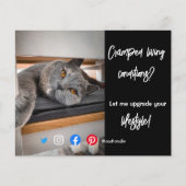 実在おもしろい生活猫のエステートはがき チラシ (正面)