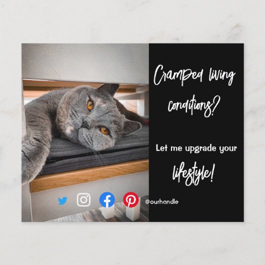 実在おもしろい生活猫のエステートはがき チラシ (正面)