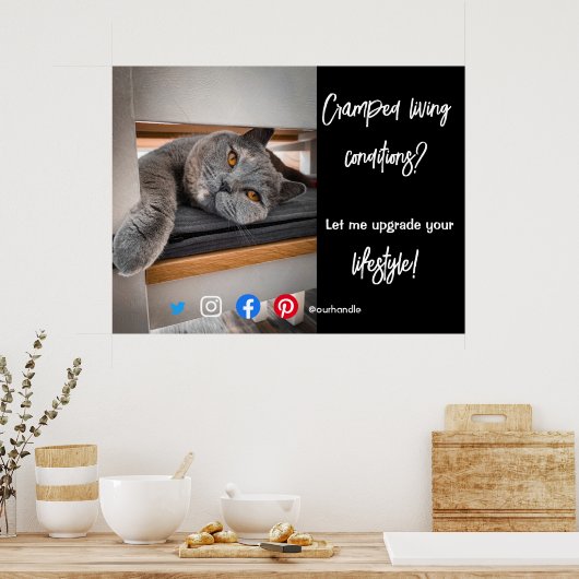 実在おもしろい生活猫のエステートはがき ポスター (キッチン)