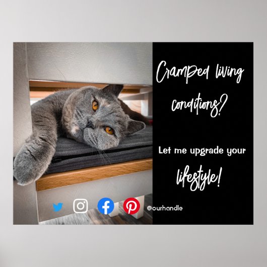 実在おもしろい生活猫のエステートはがき ポスター (正面)