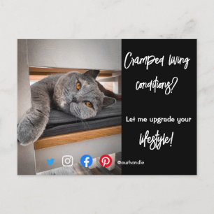 実在おもしろい生活猫のエステートはがき ポストカード