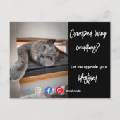 実在おもしろい生活猫のエステートはがき ポストカード (正面)