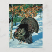 実在トルコ雪の森クリスマスクリスマス休日 シーズンポストカード (正面)