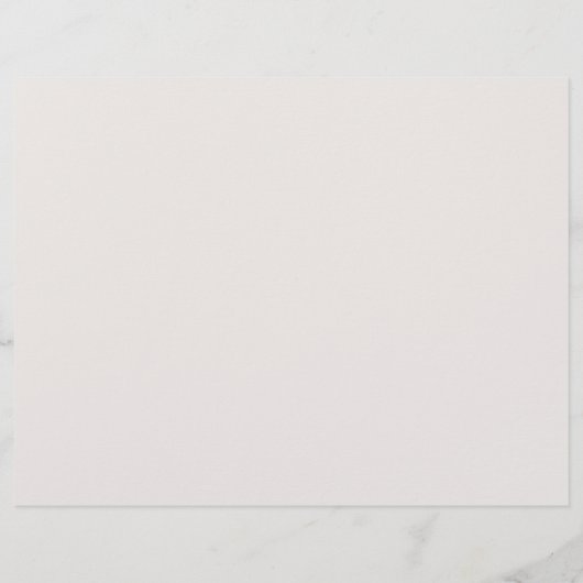 実在州ビジネスホームバリュエーションブラウンフライヤー チラシ (裏面)