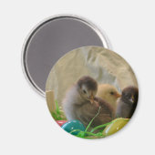 実在復活祭 マグネット (正面/裏面)