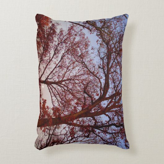 実在木綿アクセント写真枕16" x 12" アクセントクッション (正面(垂直))