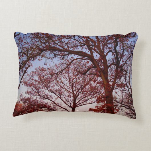 実在木綿アクセント写真枕16" x 12" アクセントクッション (裏面)