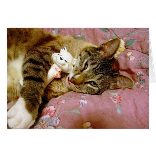 実在猫 (正面横)