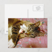 実在猫 ポストカード (正面/裏面)