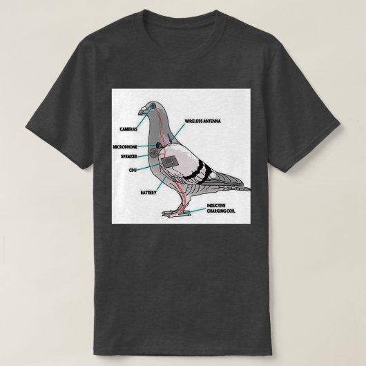 実在鳩 Tシャツ (デザイン正面)