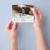 実在Estate Agent HELLO CARD cat チラシ (手)