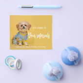 実在Estate Bananas dog referrals発表 チラシ (シングル)