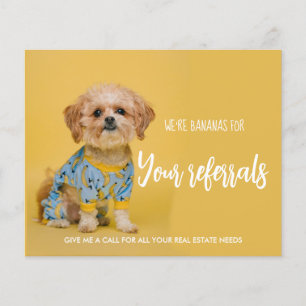 実在Estate Bananas dog referrals発表 チラシ