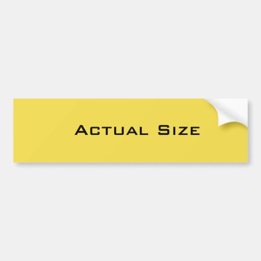 実寸 バンパーステッカー (正面)