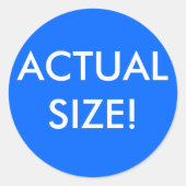 実寸 ラウンドシール (正面)