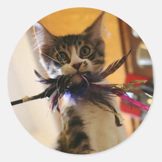 実熱狂するは ラウンドシール (正面)