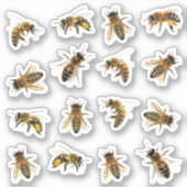 実物大のリアルなミツバチ透明または白 シール (正面)