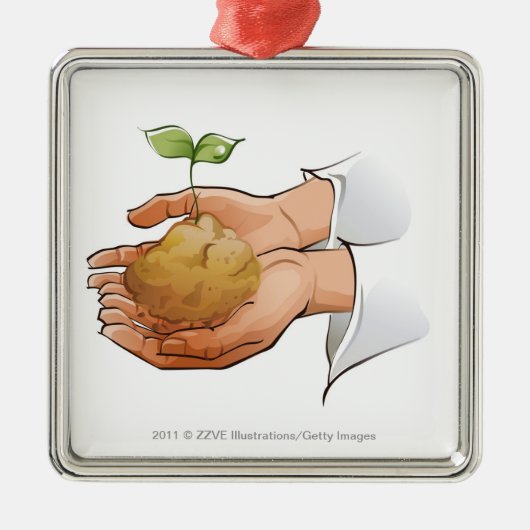 実生植物を握る人の手のクローズアップ メタルオーナメント (正面)