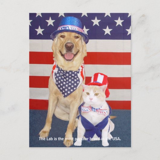 実習の特徴 – 人気がある ポストカード (正面)