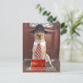 実習の特徴：素晴らしキャラクター ポストカード (スタンド正面)