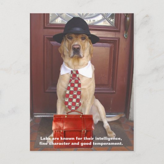 実習の特徴：素晴らしキャラクター ポストカード (正面)