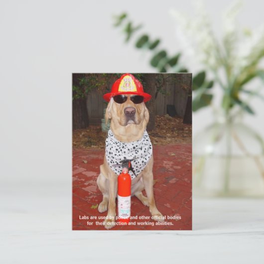 実習の特徴 – 警察と消防士による使用 ポストカード (スタンド正面)