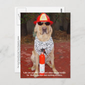 実習の特徴 – 警察と消防士による使用 ポストカード (正面/裏面)