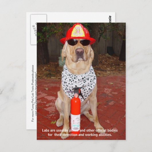 実習の特徴 – 警察と消防士による使用 ポストカード (正面/裏面)