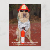 実習の特徴 – 警察と消防士による使用 ポストカード (正面)