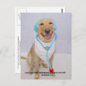 実習の特徴：高度な情報 ポストカード (正面/裏面)