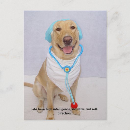 実習の特徴：高度な情報 ポストカード (正面)